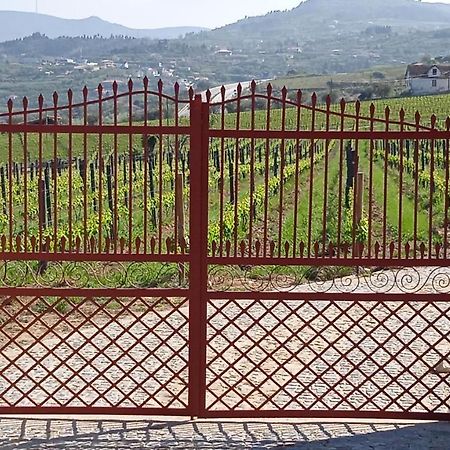 라메구 Quinta Do Passadico 빌라 외부 사진