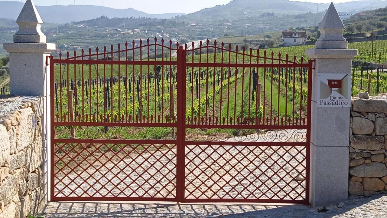 라메구 Quinta Do Passadico 빌라 외부 사진